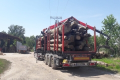 0b37492e-5a62-4bf0-8af8-c333c2943646