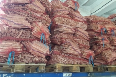 19554dd4-a63c-4e83-9d2e-35afb2f32659