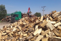 4b762a8c-6653-4107-bd66-94de8af264eb