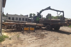 4f1450b1-f226-4b85-9fbf-d84cdf2fa46c