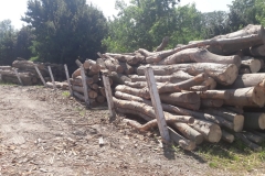 55daf5f6-bc95-400e-982b-7bd0c45cf4b6