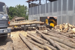 a4b9e972-c1ab-4235-8940-4f3537e453df