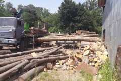 d88c515c-aeea-4629-9419-fb25e2593253